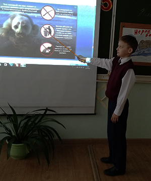 Учимся заботе о нерпе: Фонд «Озеро Байкал» провел экоурок для детей