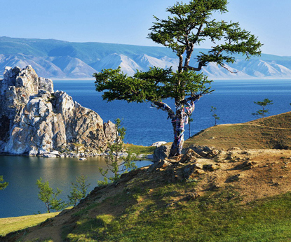 Байкал, живи! О поддержке проектов по защите и изучению байкальских эндемиков