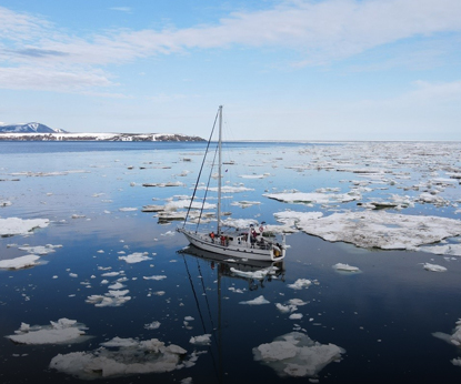 Китовые новости: ученые нашли 13 гренландских китов на севере Охотского моря