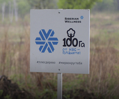 «100 га» – создавай зеленое будущее вместе с Siberian Wellness!