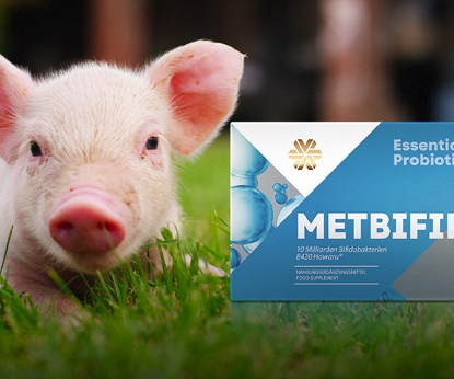 Новые кандидаты в пробиотики и уроки свиноводства