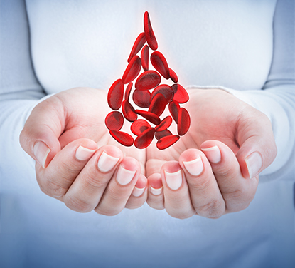 «Защитись от анемии» – курс об устранении анемии и железодефицита от Елены Барсуковой.