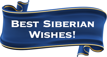 Best Siberian Wishes!